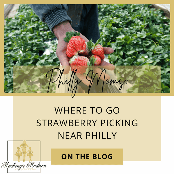 Where to go Strawberry Picking Near Philly Mackenzie Madison of