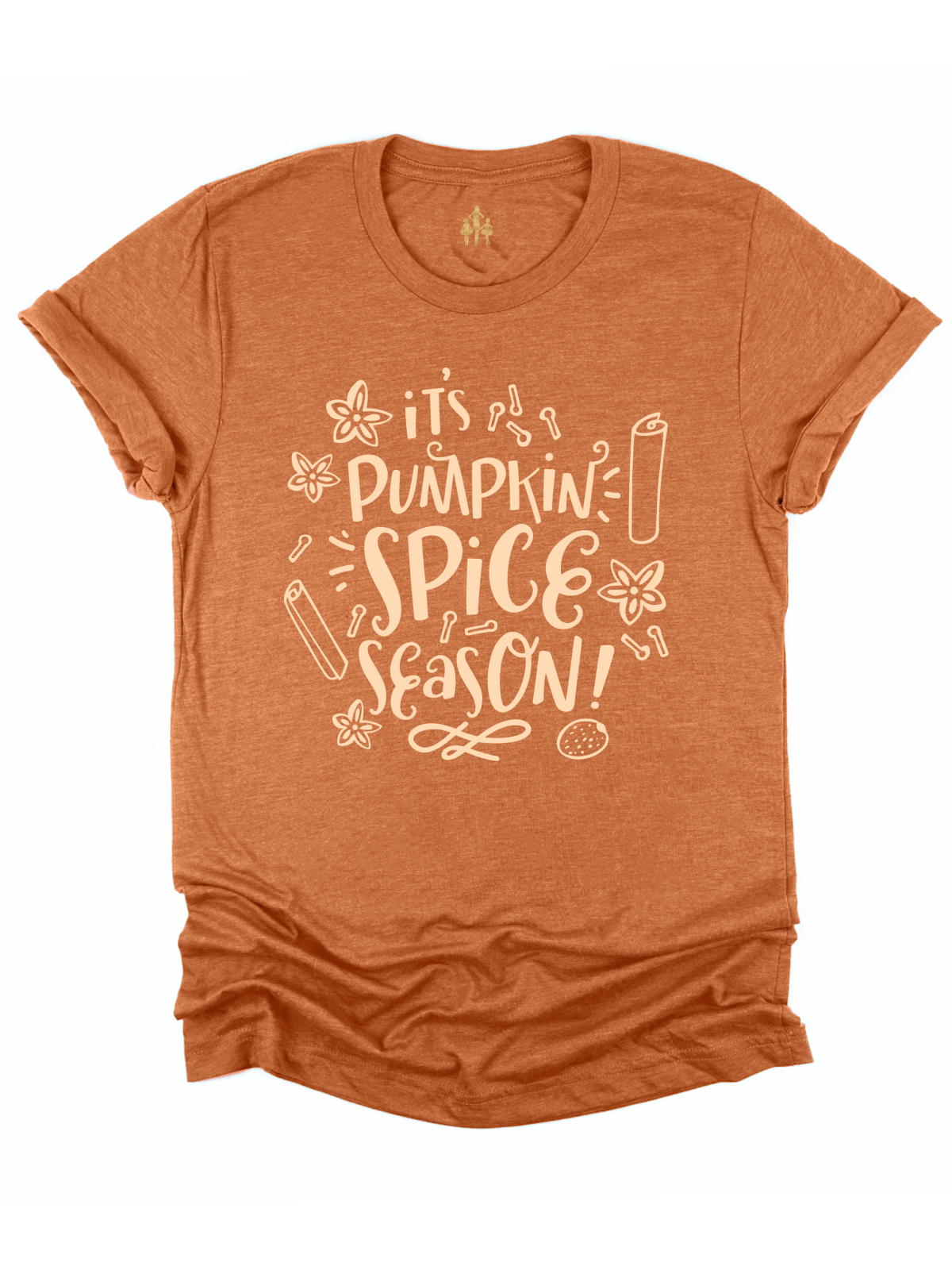 It's Pumpkin Spice Season Adult Fall Shirt