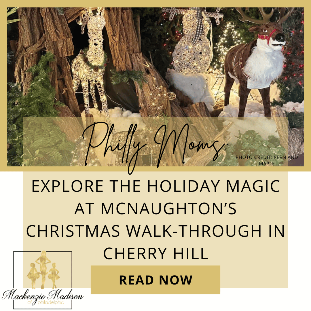 Explore the Holiday Magic at McNaughton’s Christmas Walk-Through in Cherry Hill