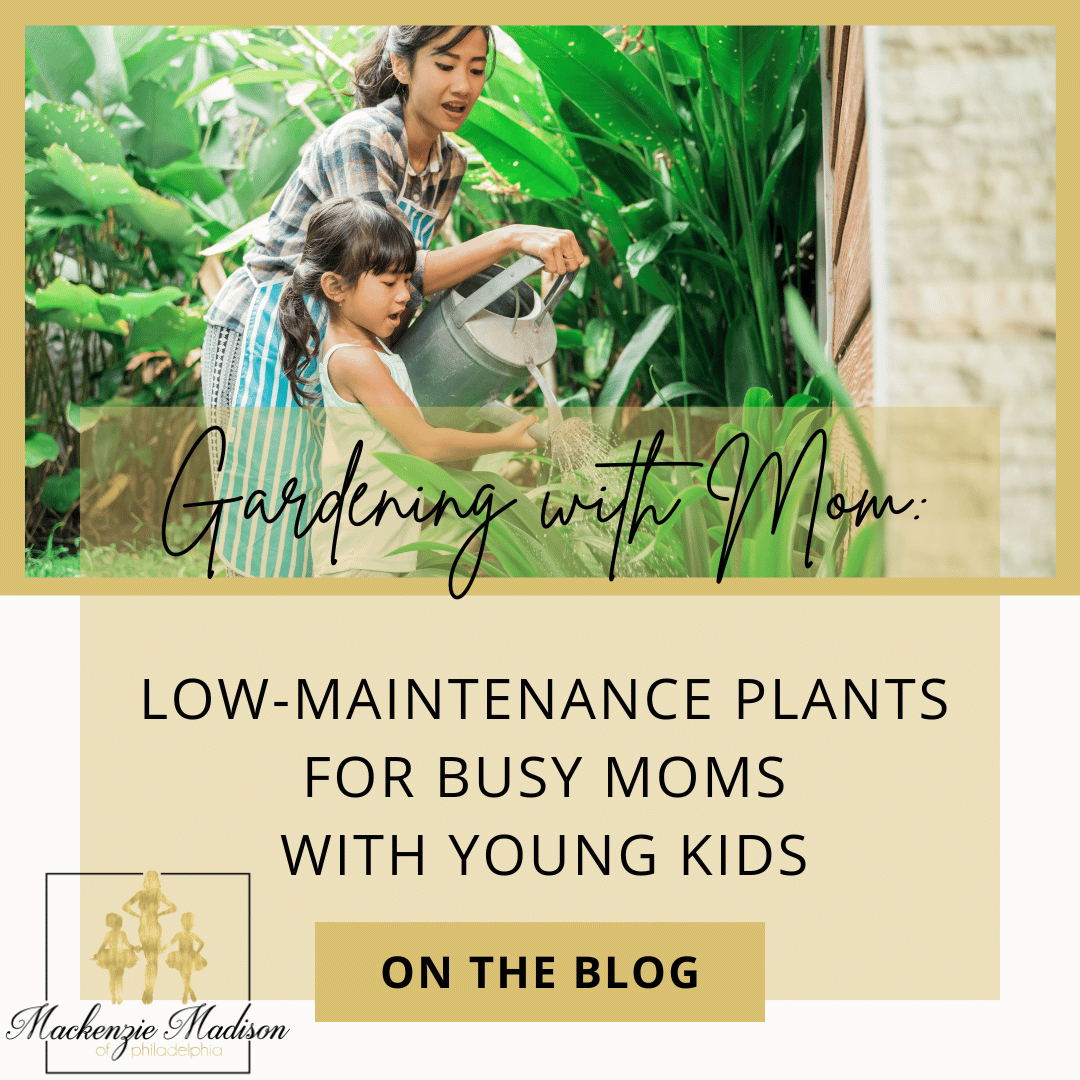 Gardening with Mom: Low-Maintenance Plants for Busy Moms with Young Kids
