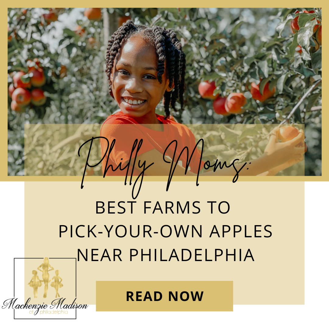Best Farms to Pick Your Own Apples Near Philadelphia