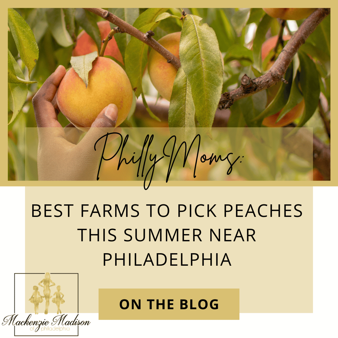 Best Places to Pick Peaches Near Philly