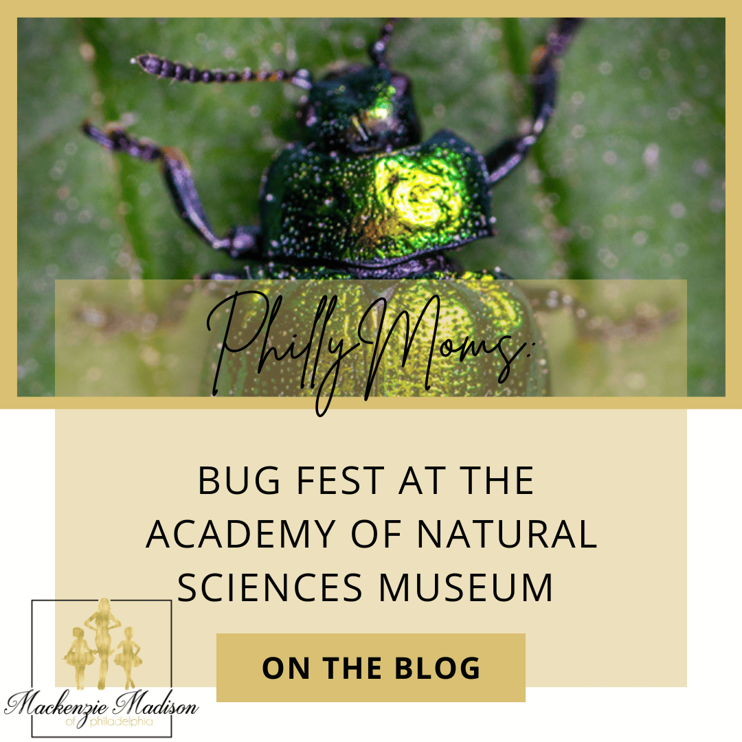 Bug Fest at the Academy of Natural Sciences Museum 