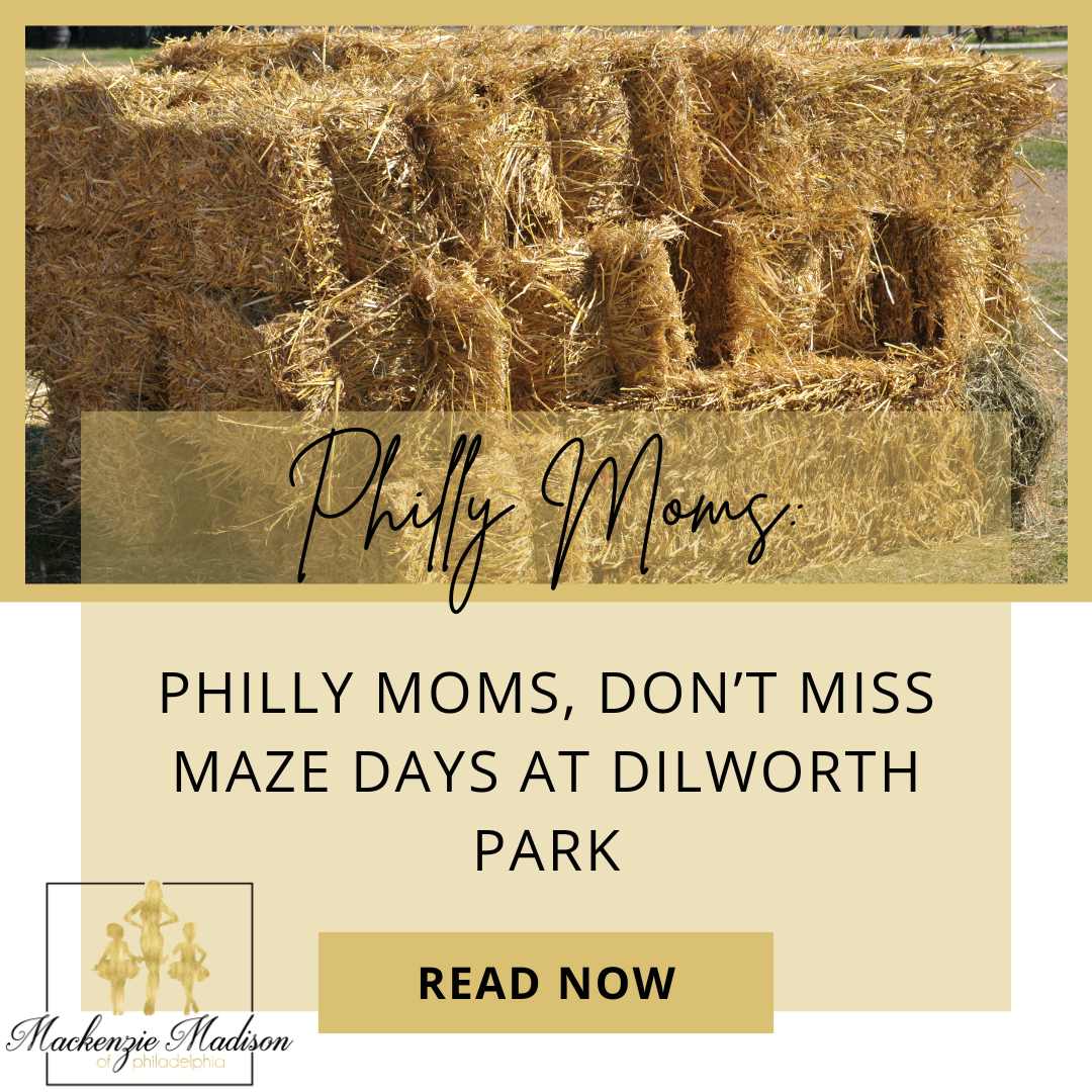 Philly Moms, Don’t Miss Maze Days at Dilworth Park
