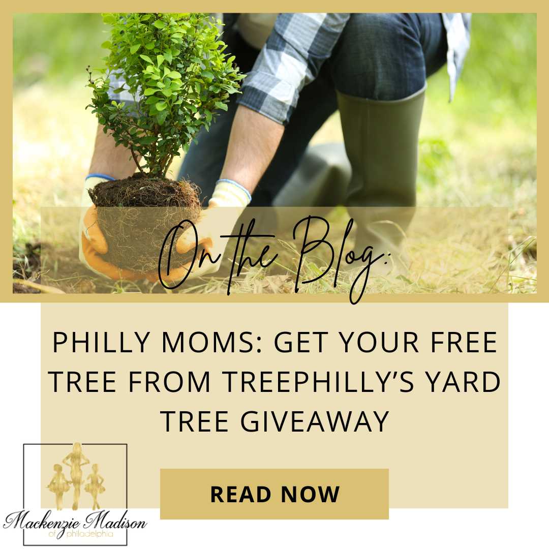Get Your Free Tree from TreePhilly’s Yard Tree Giveaway