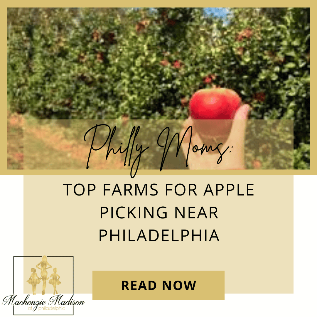 Top Farms for Apple Picking Near Philadelphia