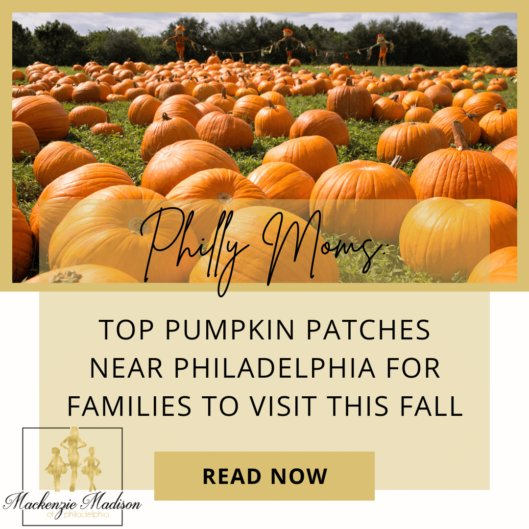 Top Pumpkin Patches Near Philadelphia for Families to Visit This Fall