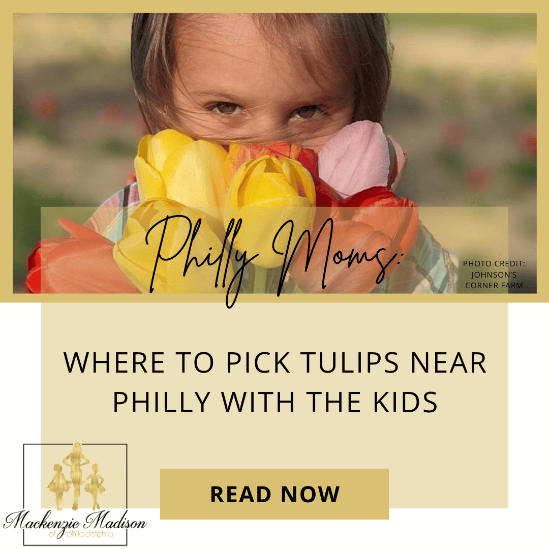 Where to Pick Tulips Near Philly with the Kids