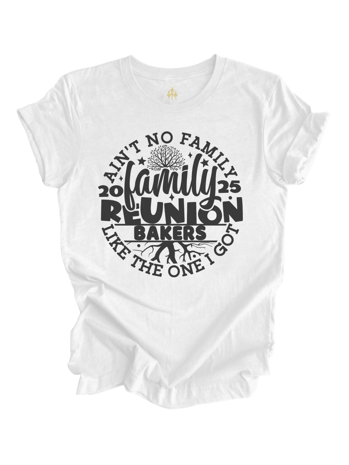 Ain't No Family Like the One I Got 2025 Family Reunion Shirts