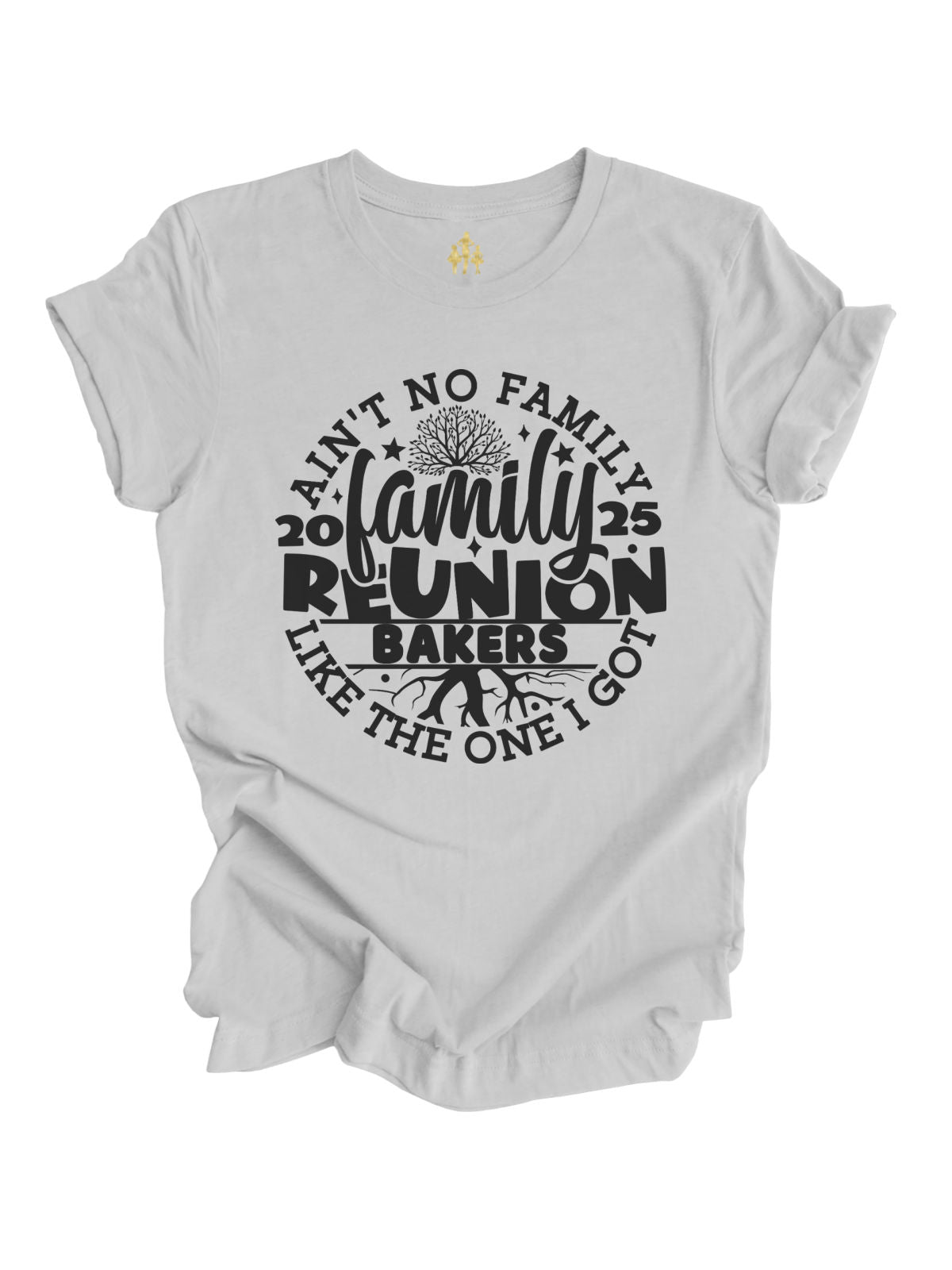 Gray Adult Shirt that reads Ain't No Family Like the One I Got 2025 Family Reunion Shirt