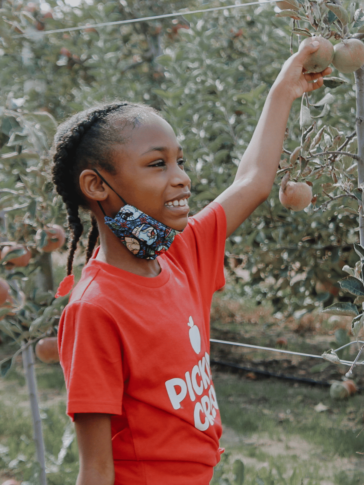 Kid Picking Apples in Red Shirt that reads Apple Picking Crew