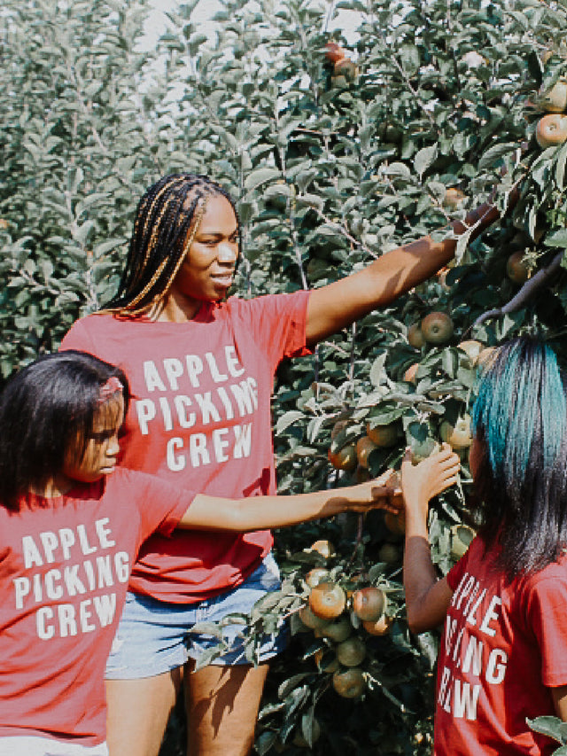 Mom and child wearing matching Apple Picking Crew shirts at an apple orchard – fall family photo outfit idea
