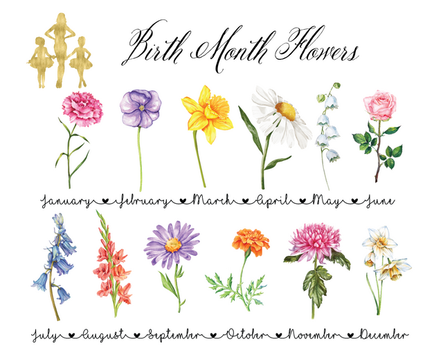 Birth Month Flowers
