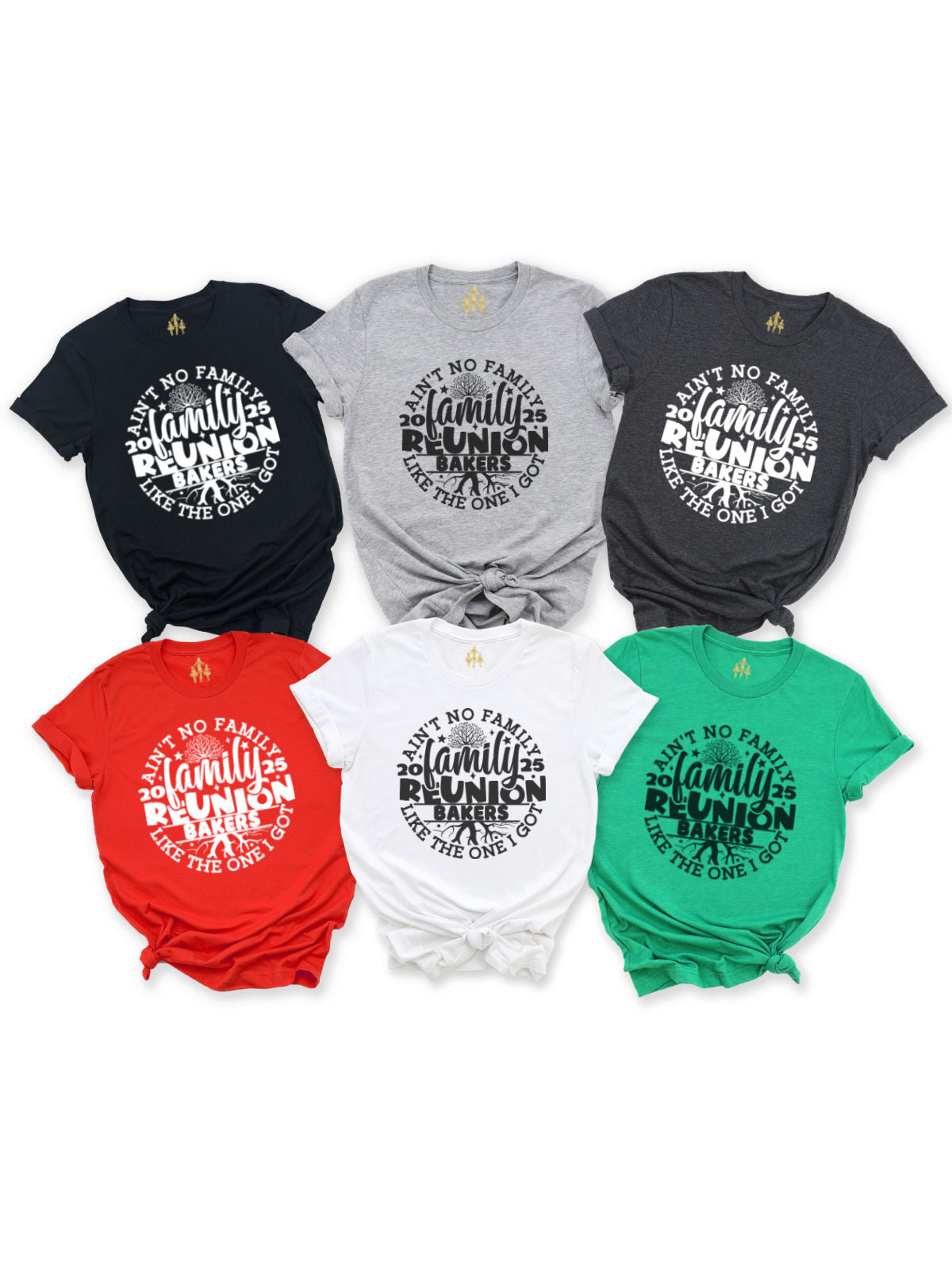 Black, Gray, Red, White, and Green Adult Family Reunion Shirts that say Aint No Family like the One I Got 2025 Reunion 