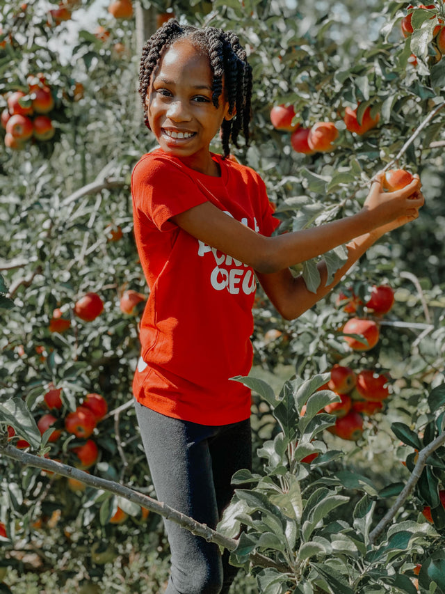 Matching red Apple Picking Crew shirts for family – apple orchard fall photo outfit