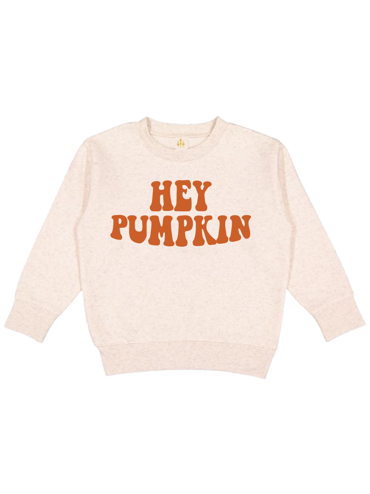 Hey Pumpkin kids fall sweatshirt in natural fleece with retro orange font – toddler and youth crewneck