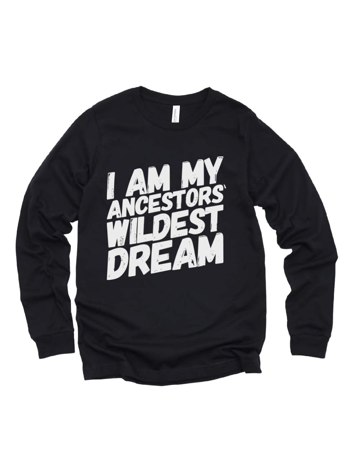 I Am My Ancestors' Wildest Dream Adult Shirt